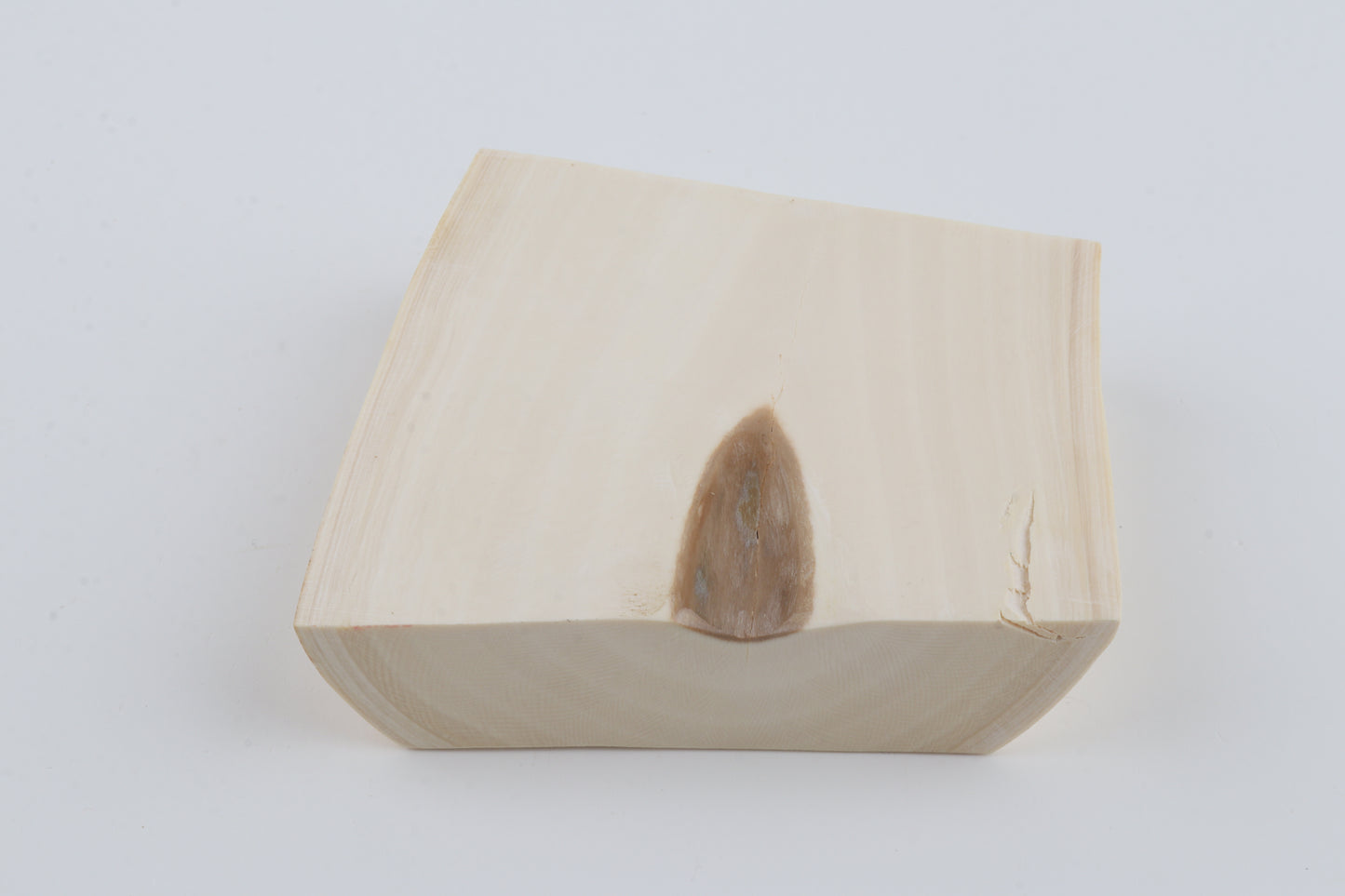 White mammoth ivory segment