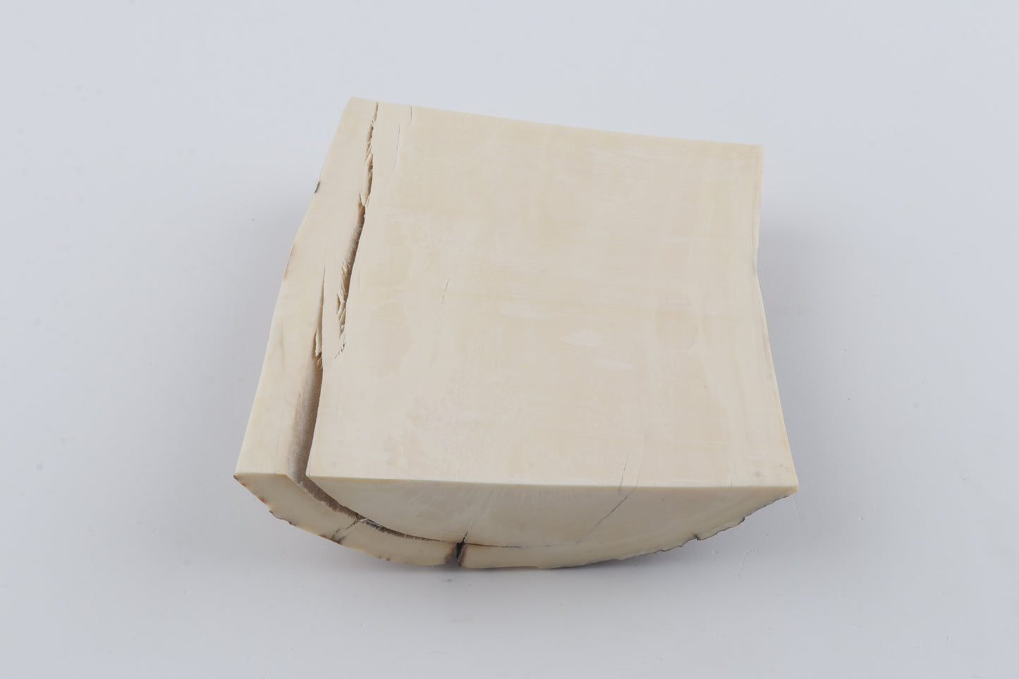 Natural mammoth ivory piece