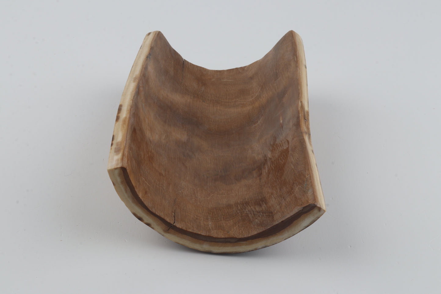 Brown woolly mammoth bark