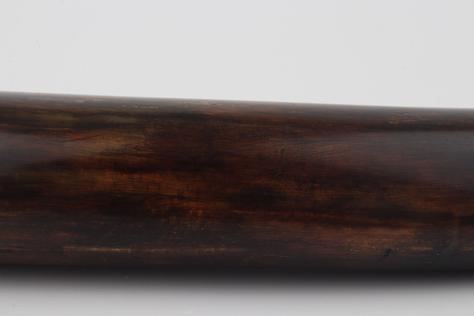 Restored woolly mammoth tusk