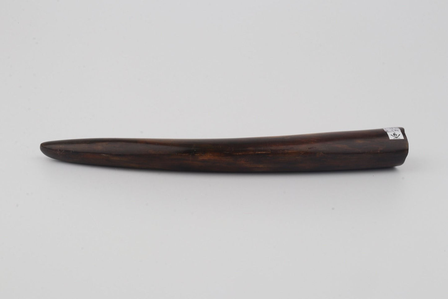 Restored woolly mammoth tusk