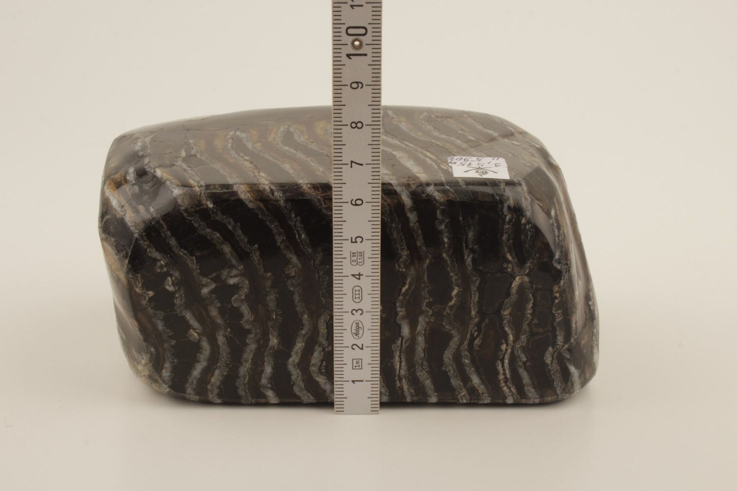 Stabilised mammoth molar
