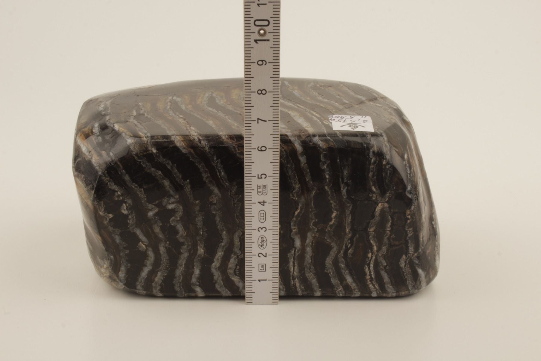 Stabilised mammoth molar