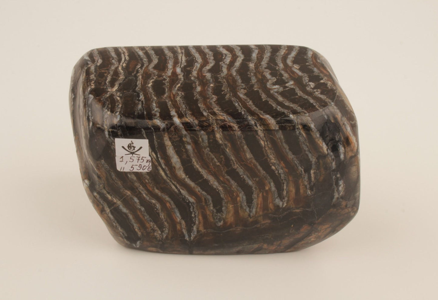 Stabilised mammoth molar