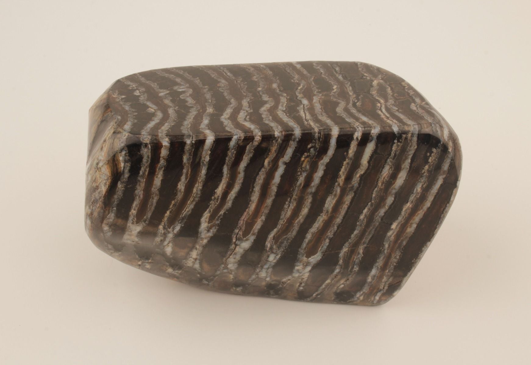 Stabilised mammoth molar