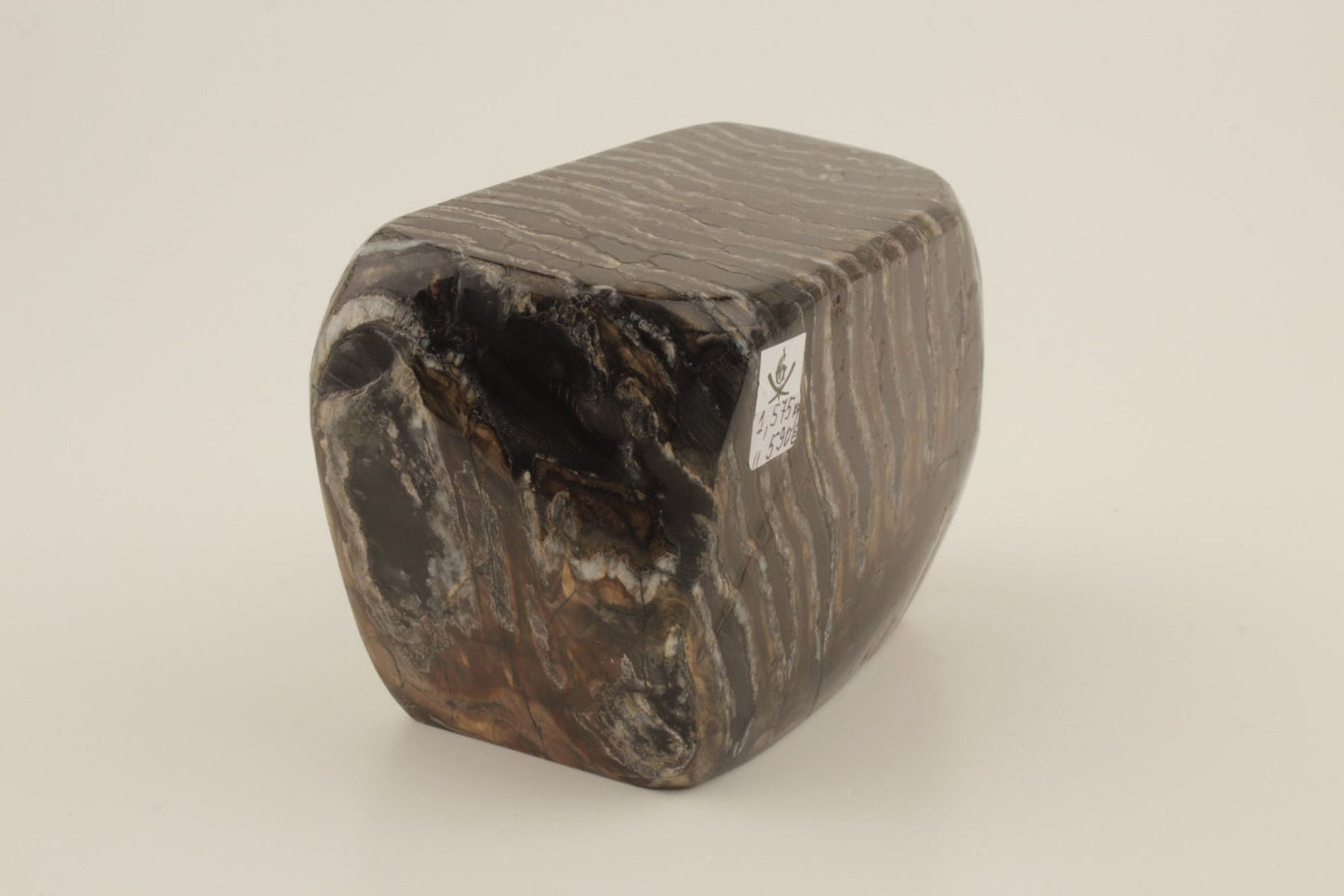 Stabilised mammoth molar