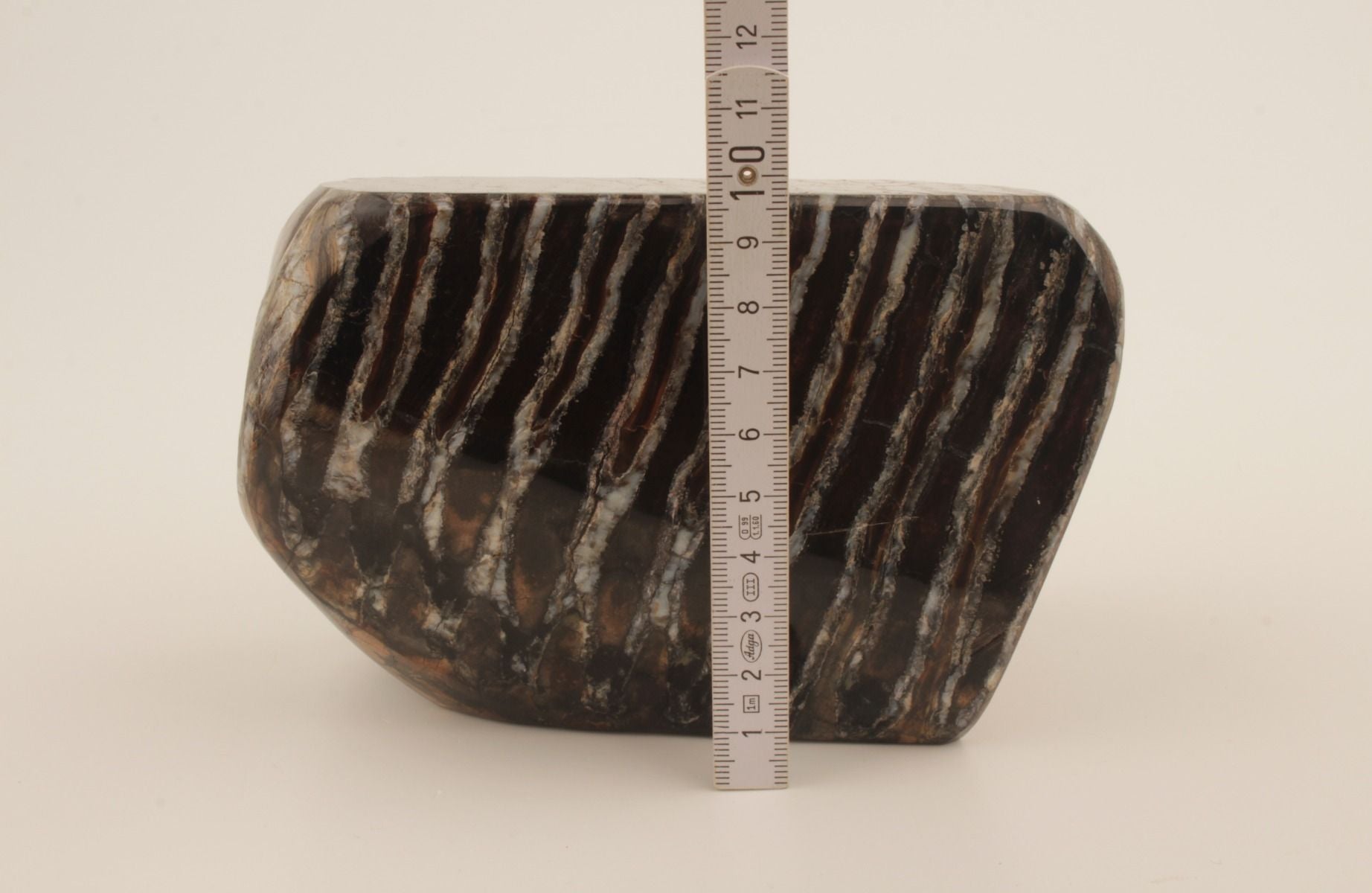 Stabilised mammoth molar