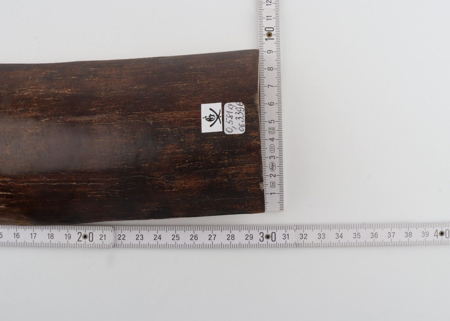 Brown mammoth bark
