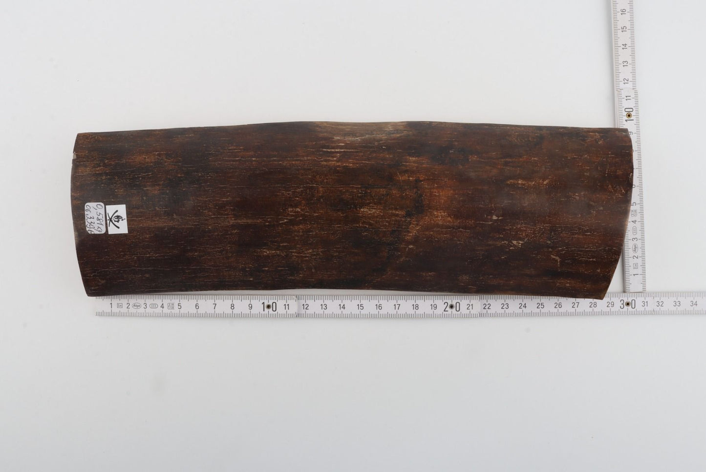 Brown mammoth bark