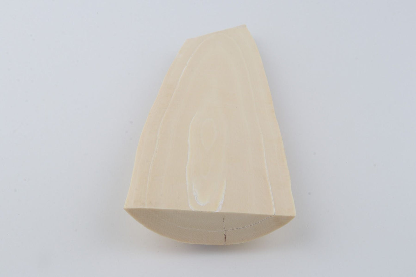 White mammoth ivory piece