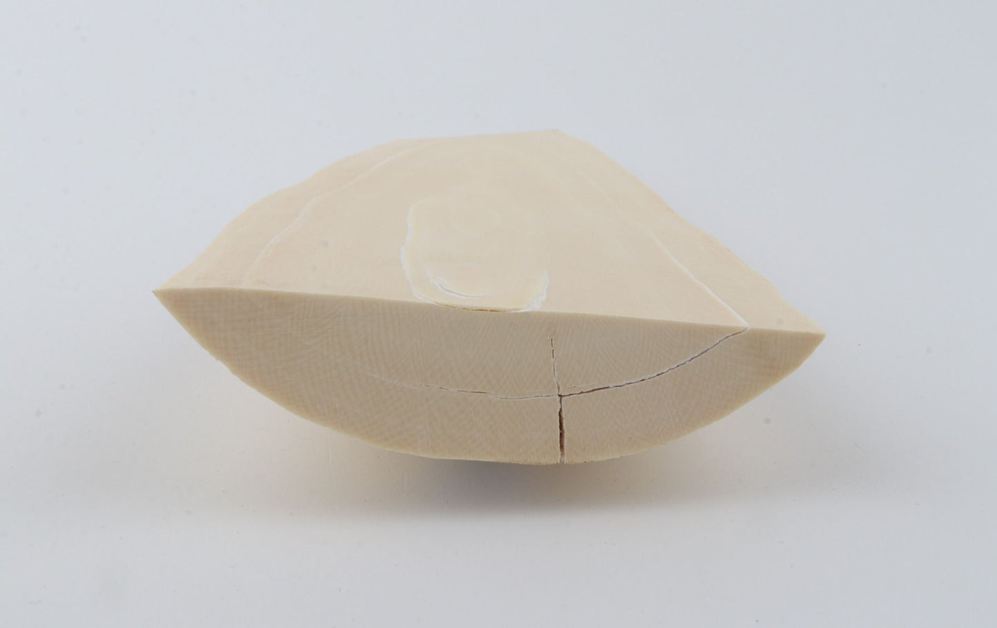 White mammoth ivory piece
