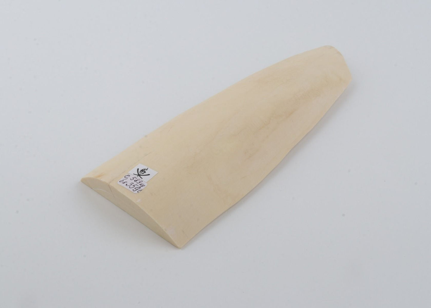 White mammoth ivory piece