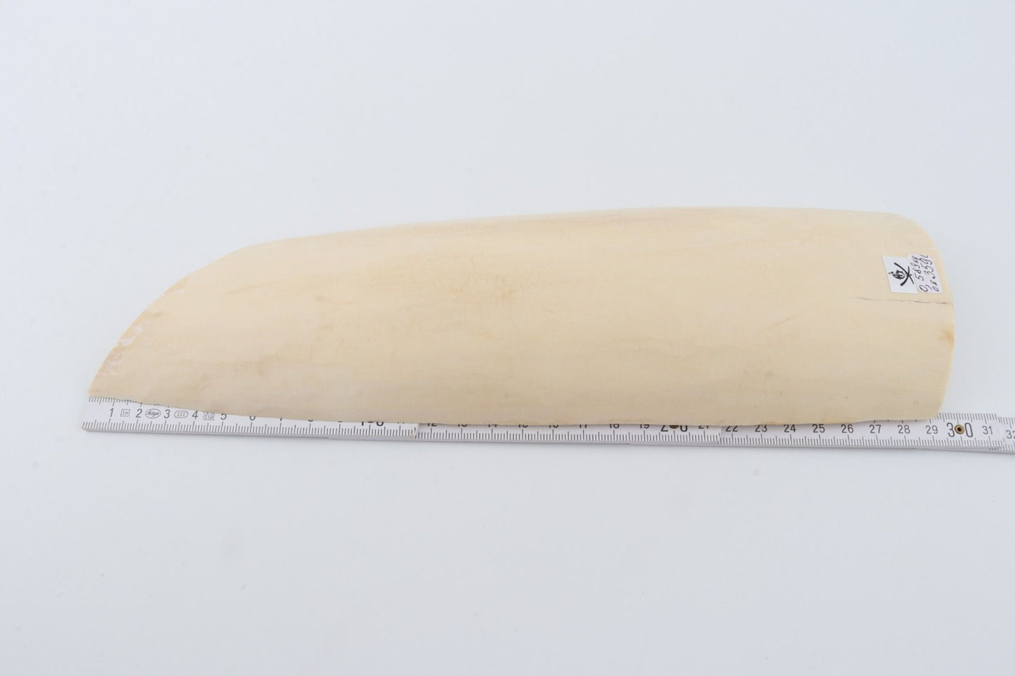 White mammoth ivory piece