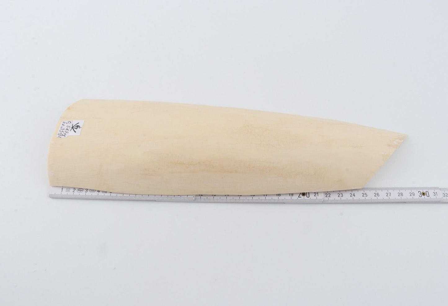 White mammoth ivory piece
