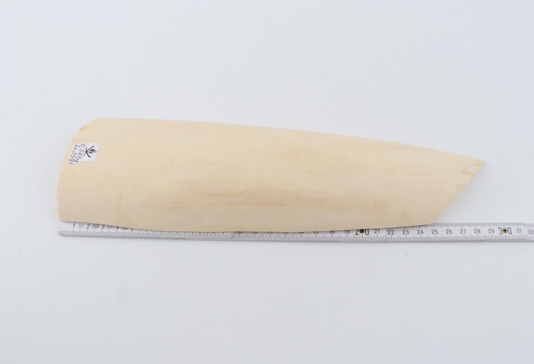 White mammoth ivory piece