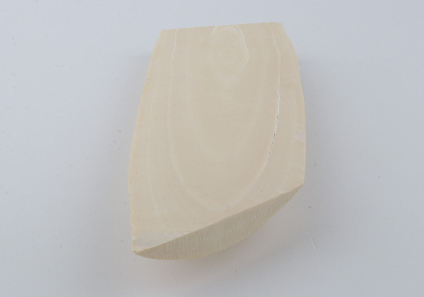 White mammoth ivory piece