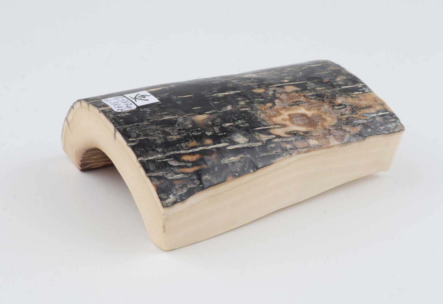 Black-blue mammoth bark
