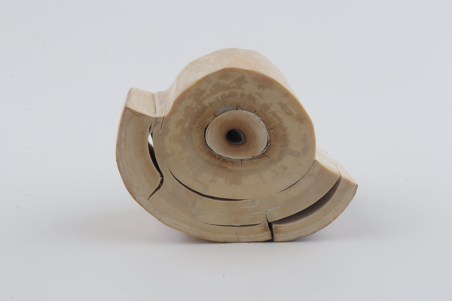 Round mammoth tusk piece