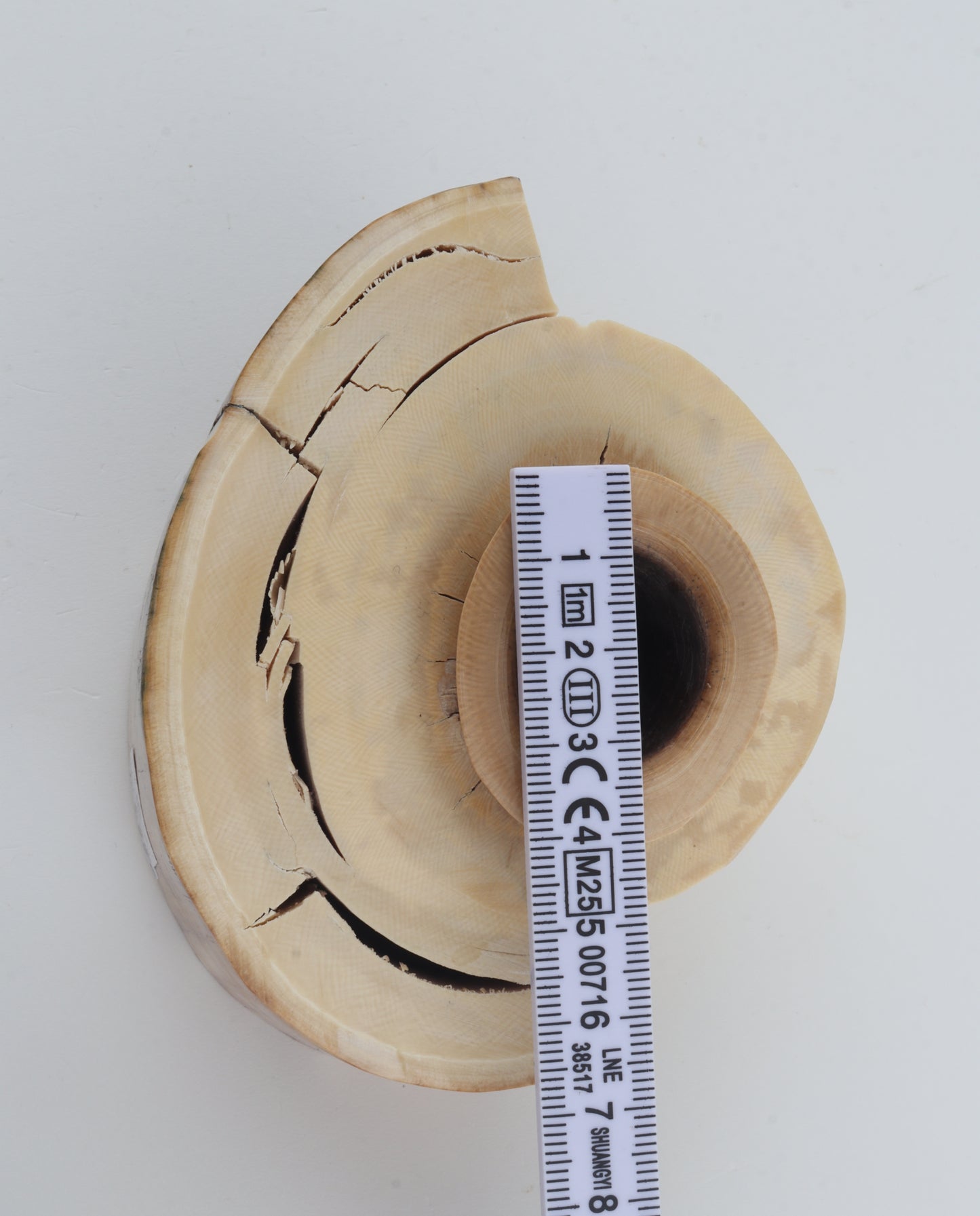 Round mammoth tusk piece