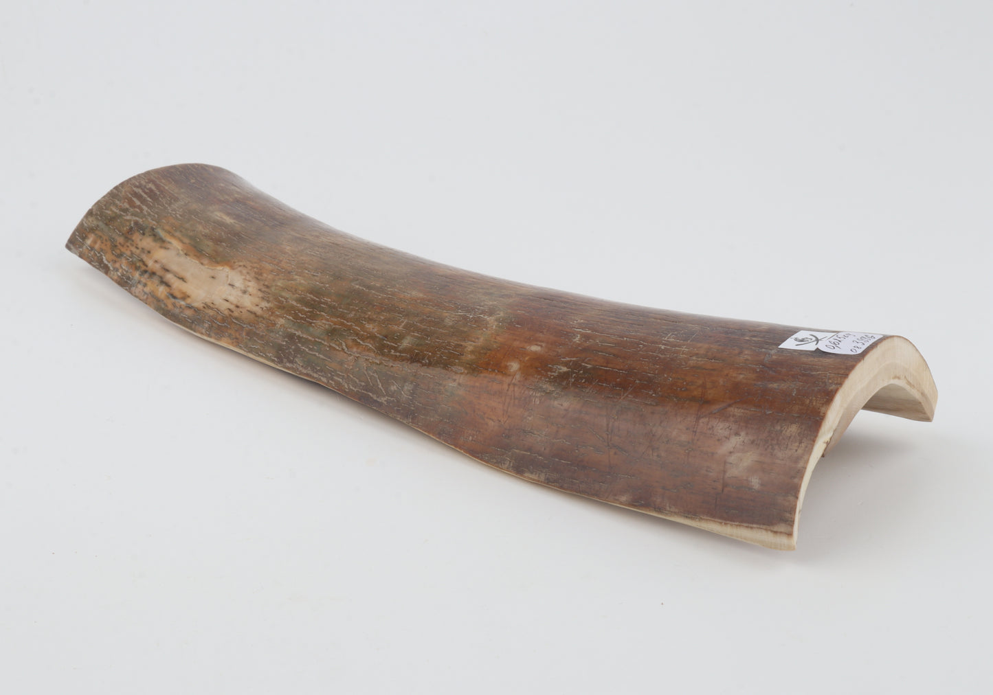 Brown-red mammoth bark