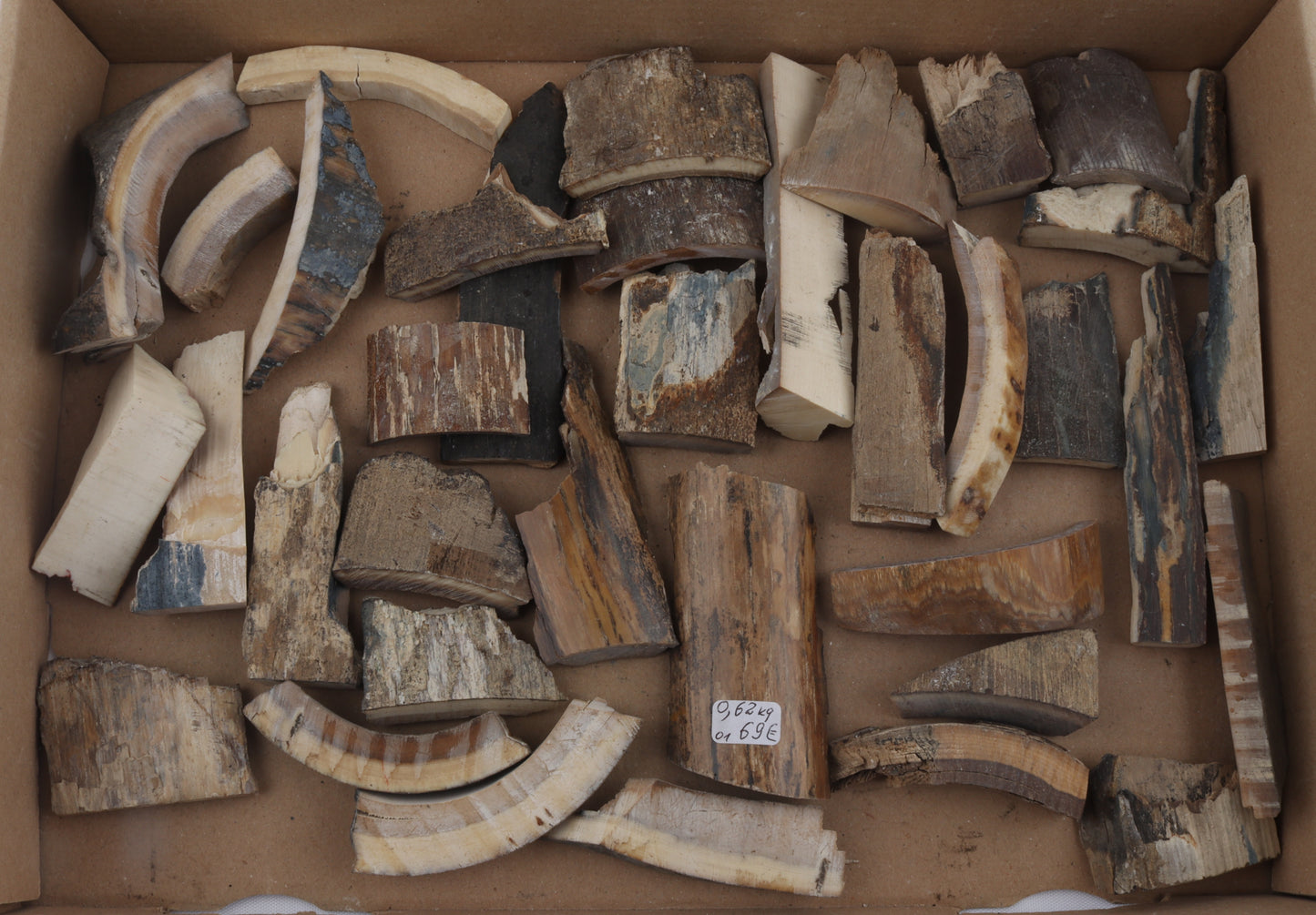 Untreated mammoth ivory offcuts
