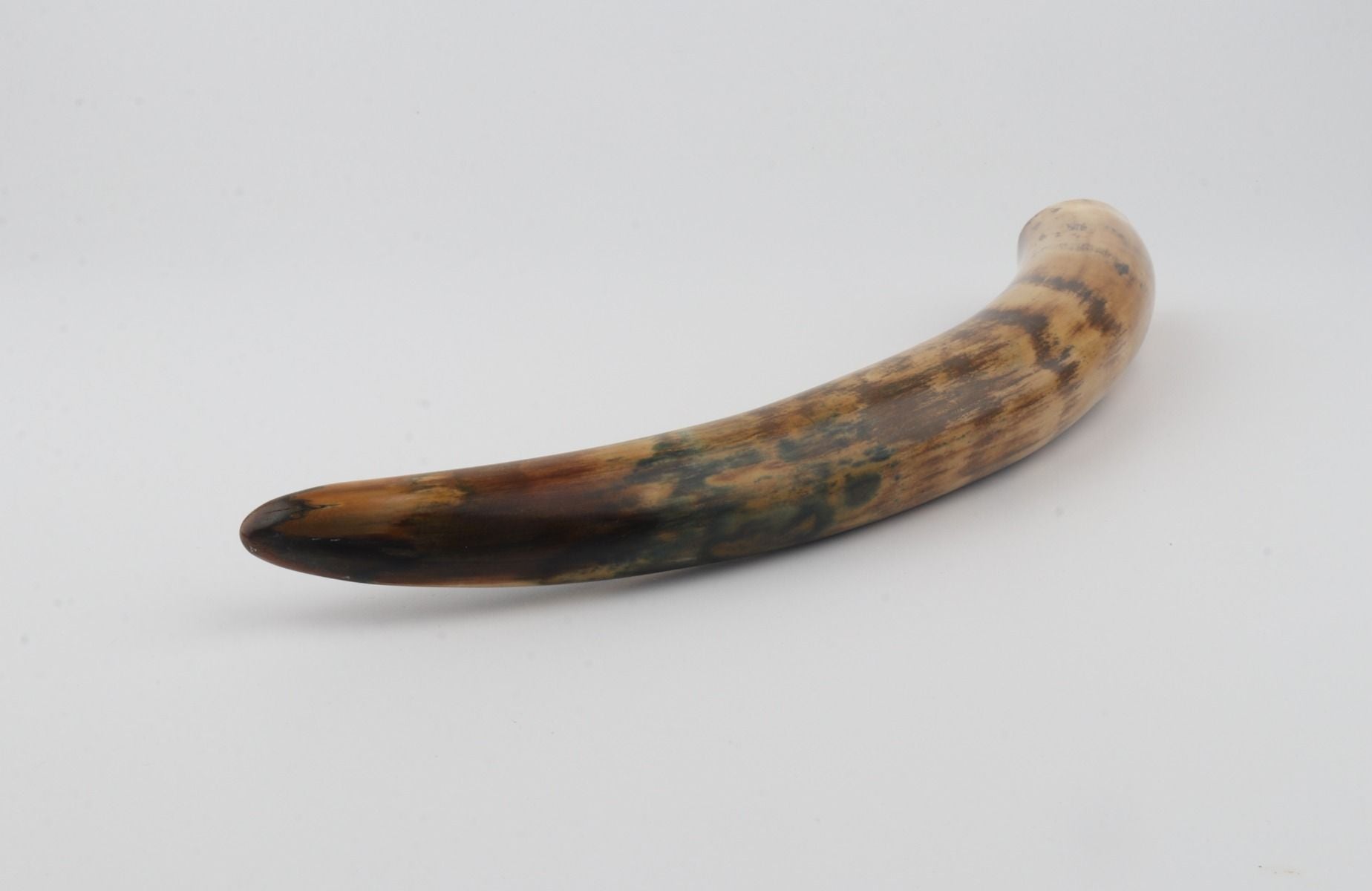 Restored mammoth tusk tip