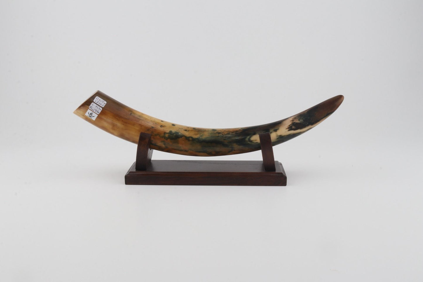 Restored mammoth tusk tip