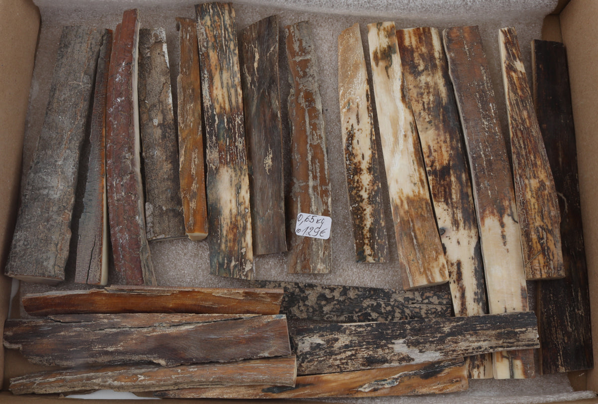 Natural mammoth bark pieces