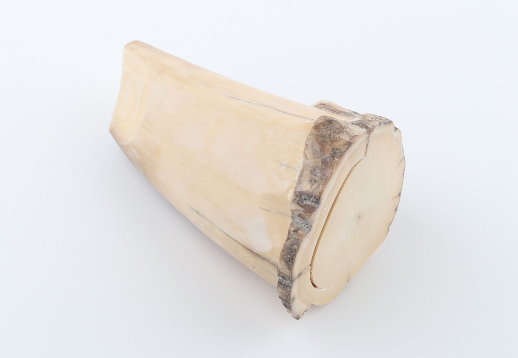 Round mammoth tusk piece
