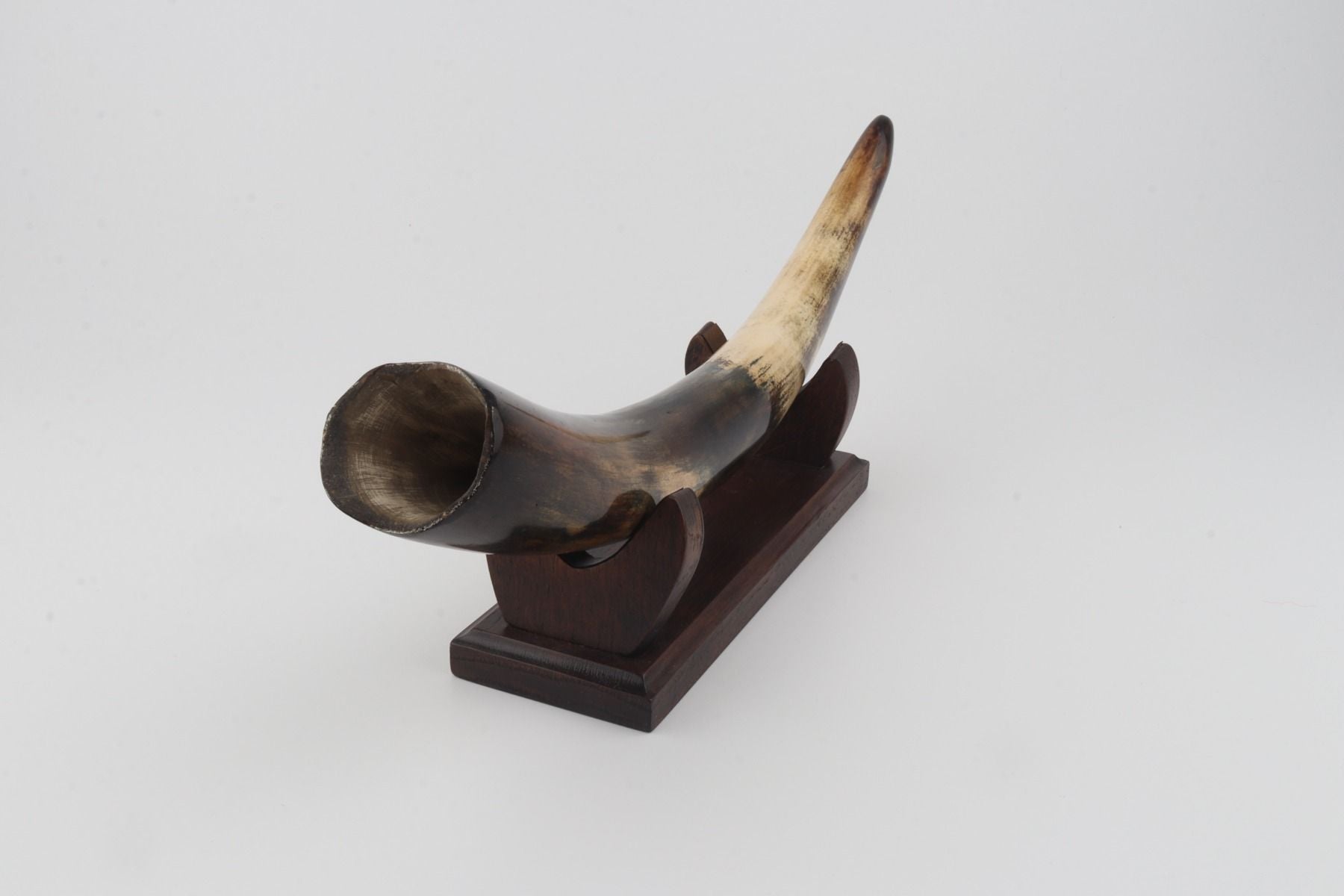 Restored woolly mammoth tusk