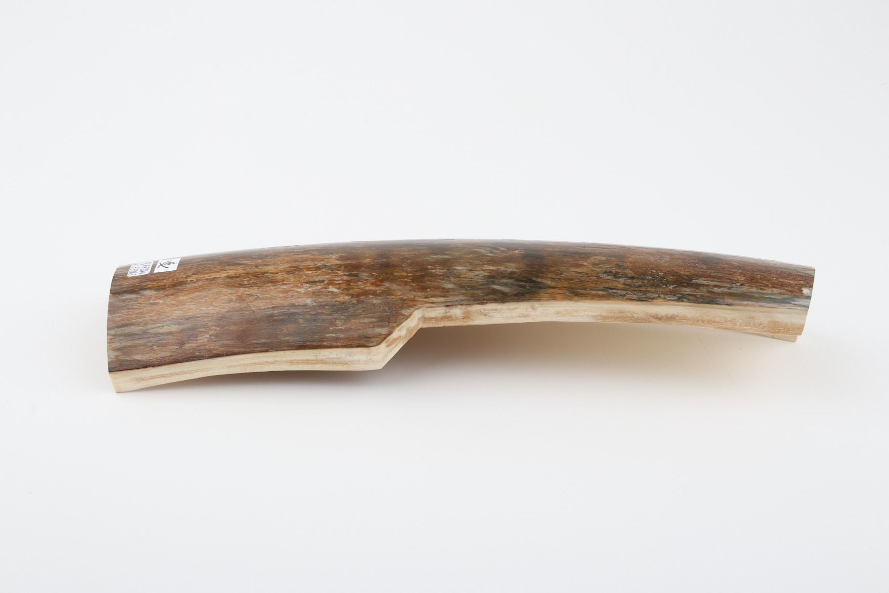 Brown mammoth bark
