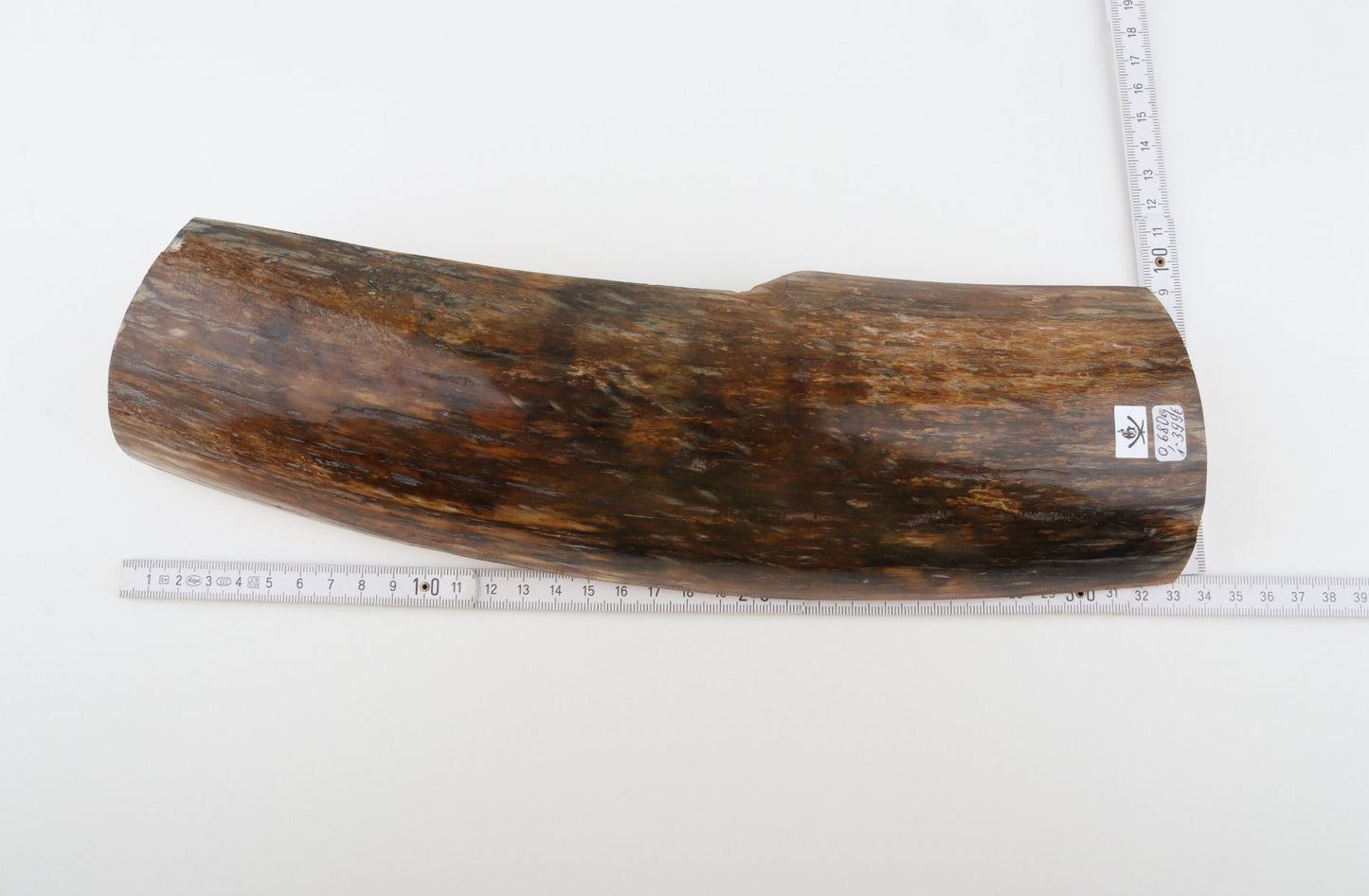 Brown mammoth bark