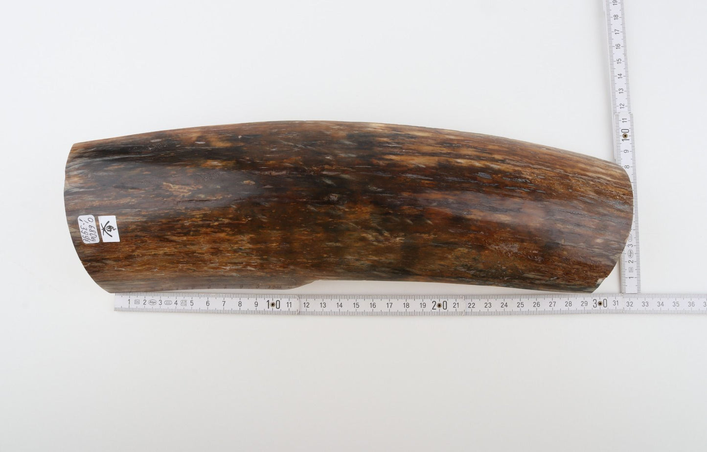 Brown mammoth bark