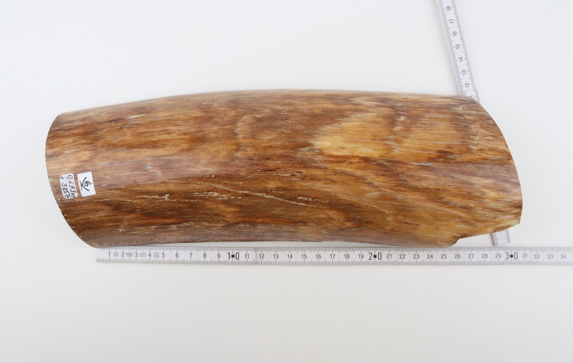 Beige mammoth bark