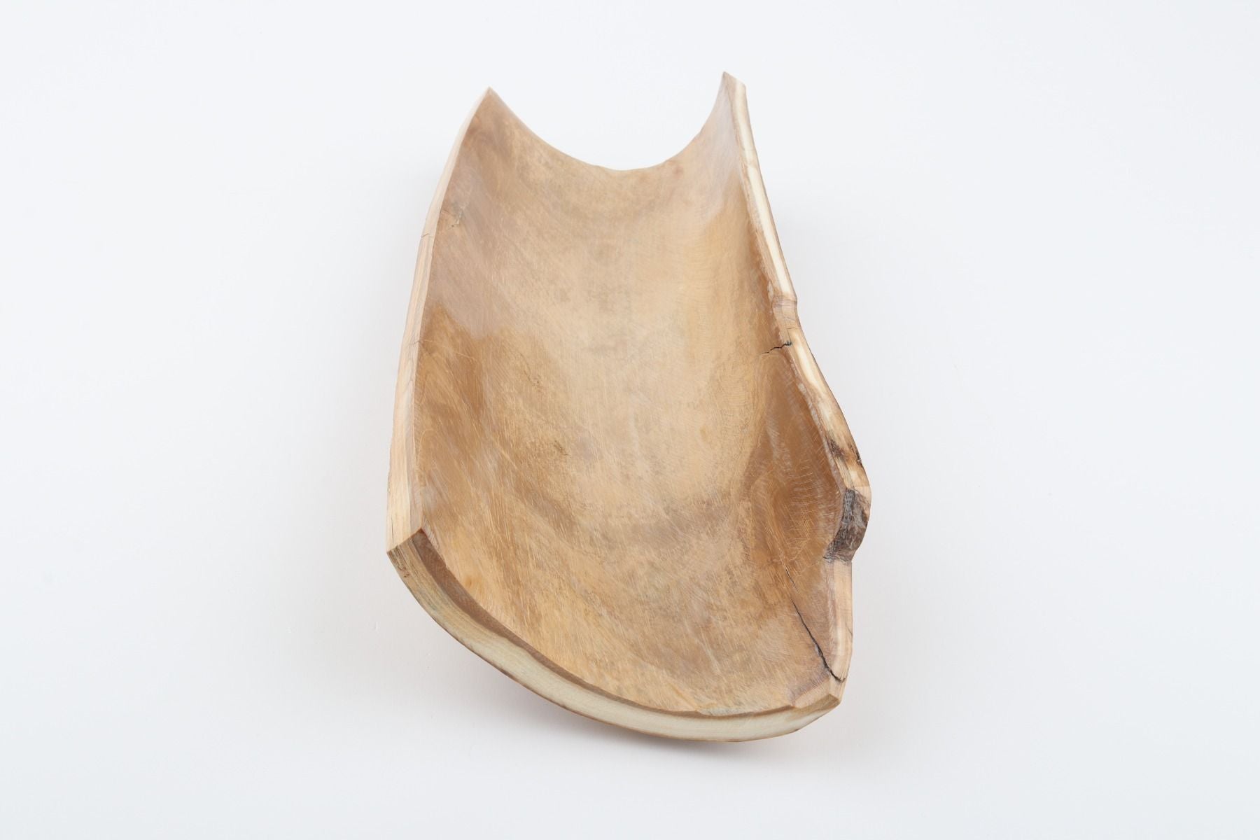 Beige mammoth bark