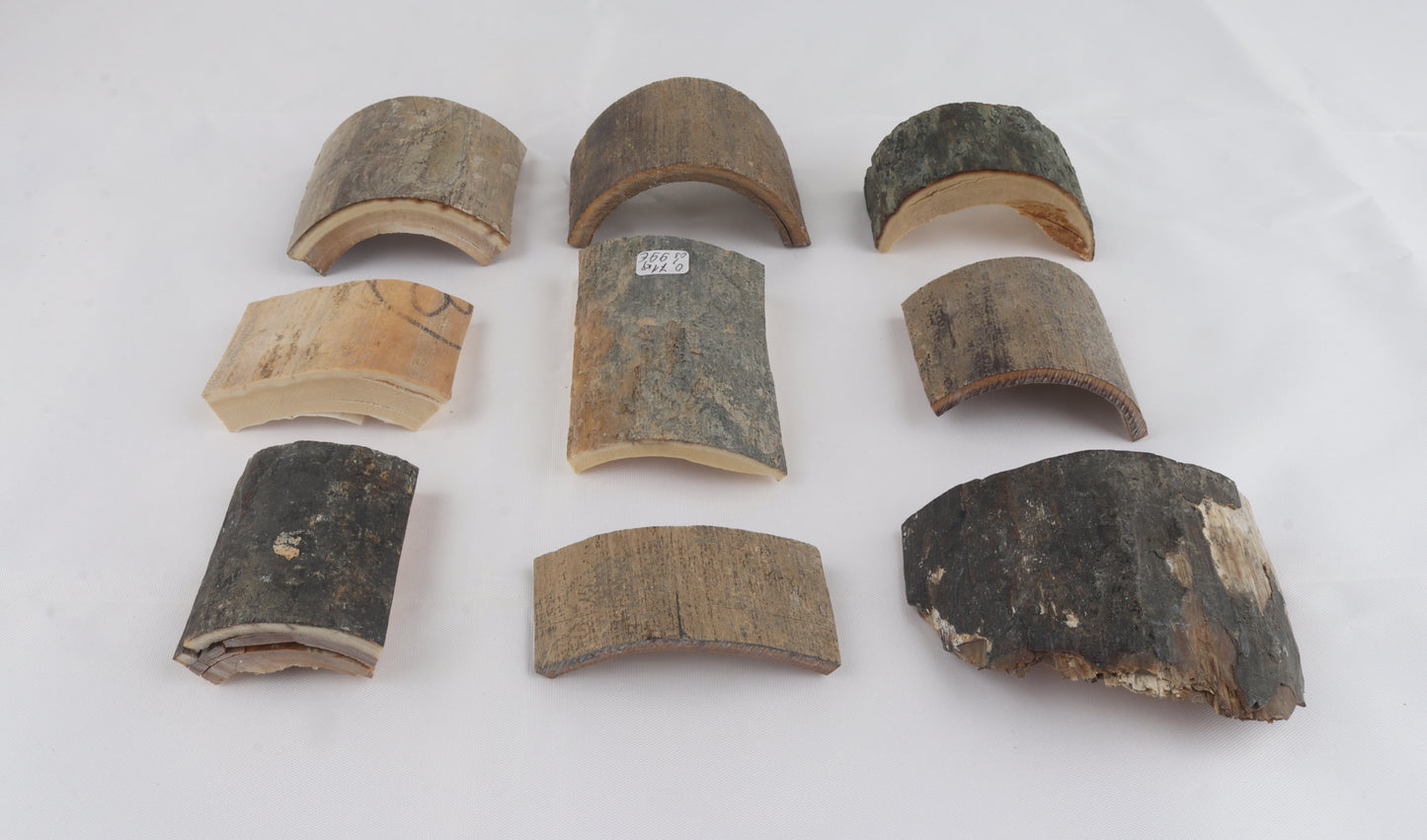 Raw mammoth bark pieces