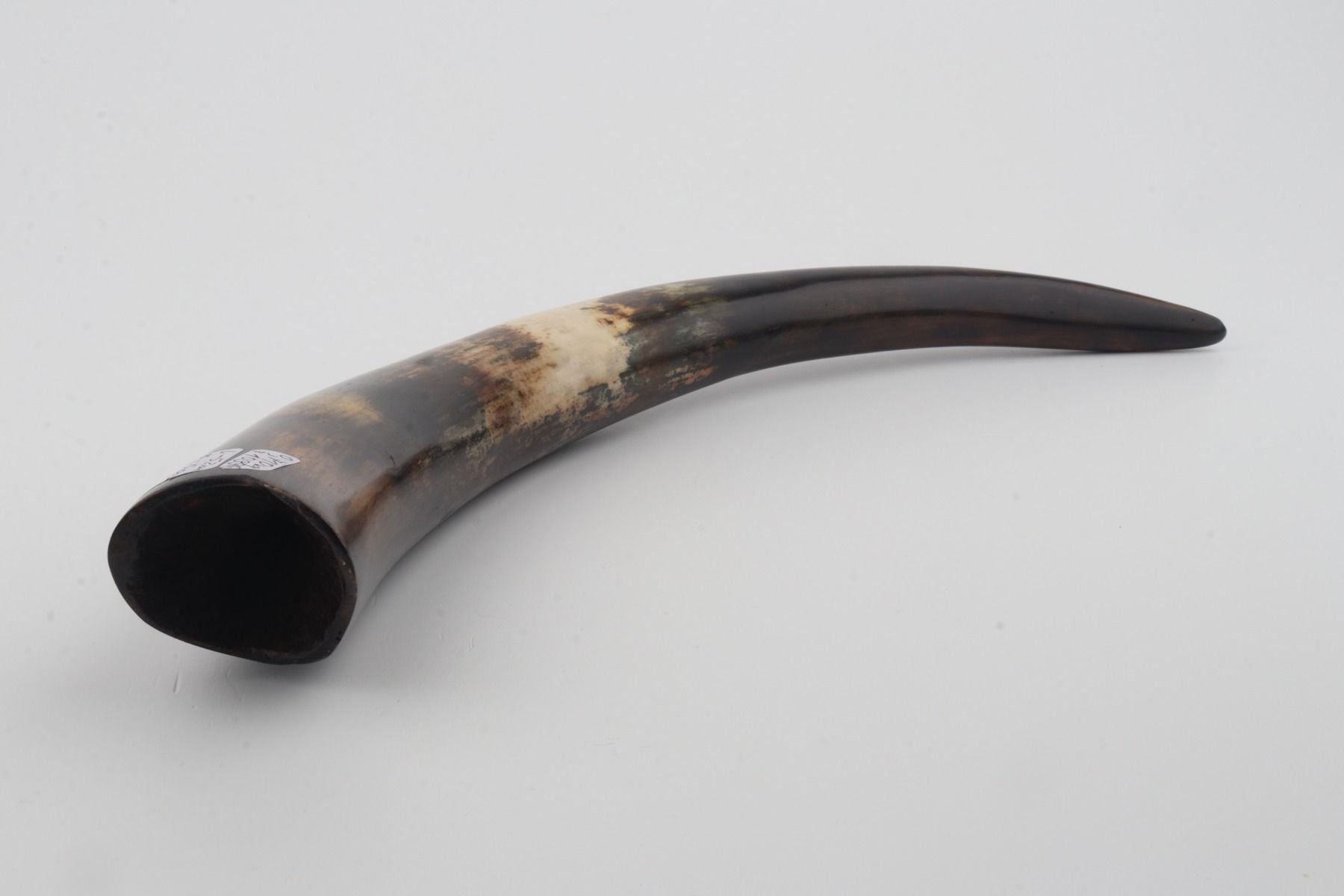 Restored woolly mammoth tusk