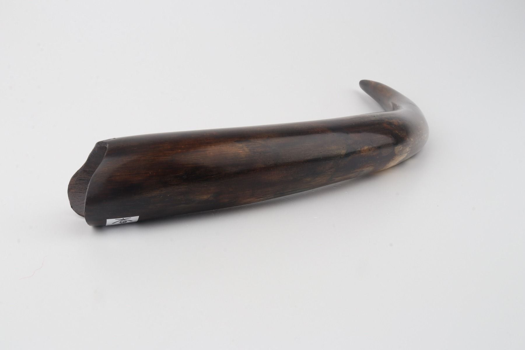 Restored woolly mammoth tusk