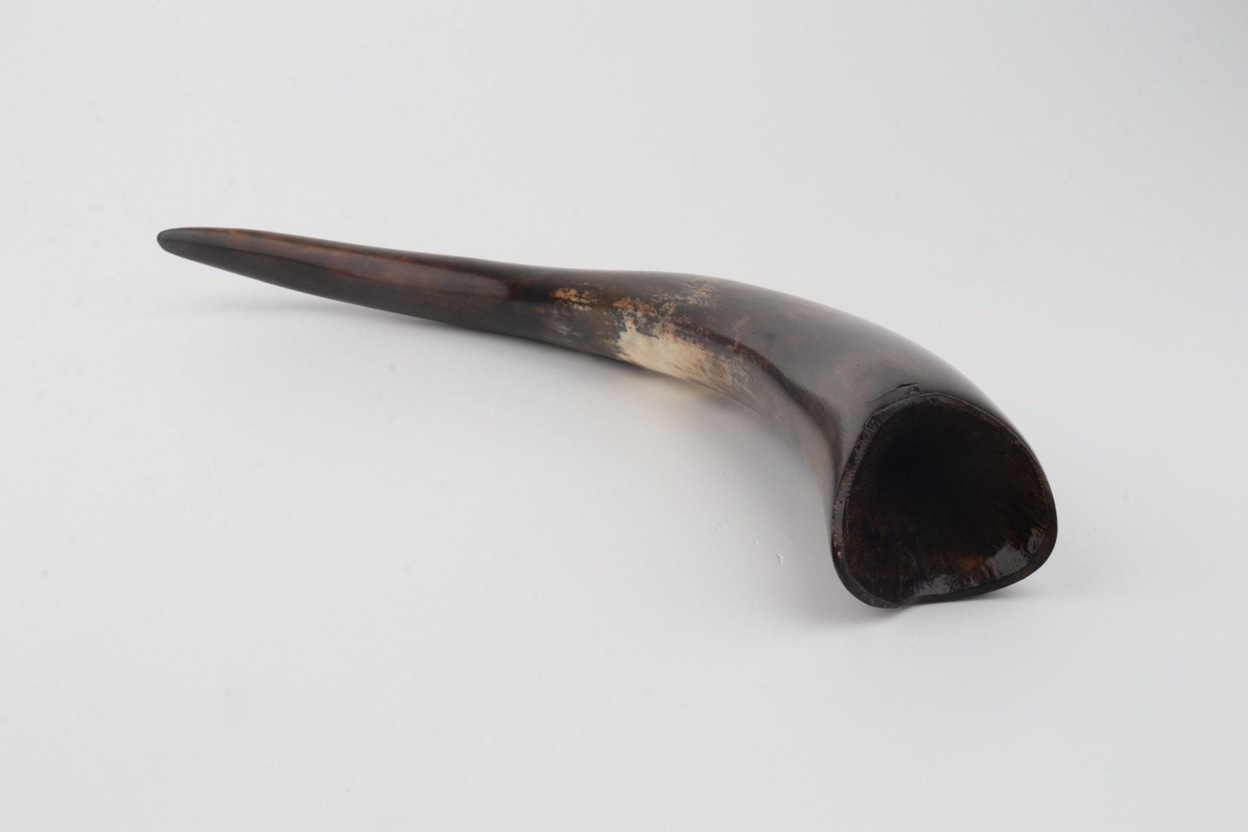 Restored woolly mammoth tusk