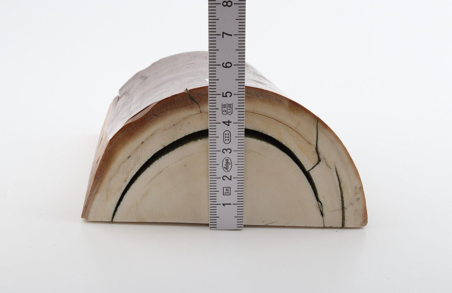 Natural mammoth ivory piece