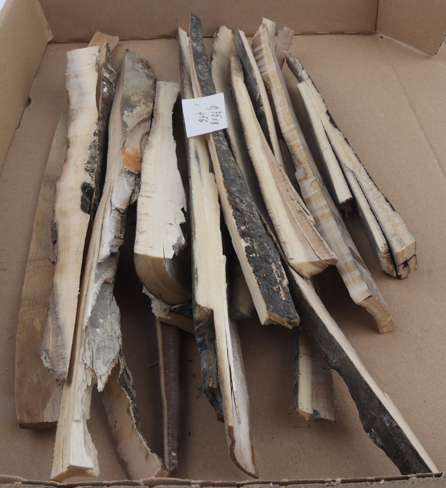 Raw mammoth ivory offcuts