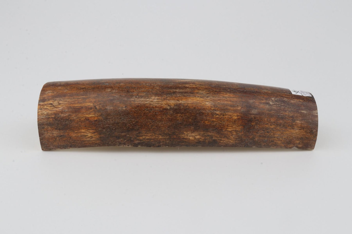 Natural woolly mammoth bark