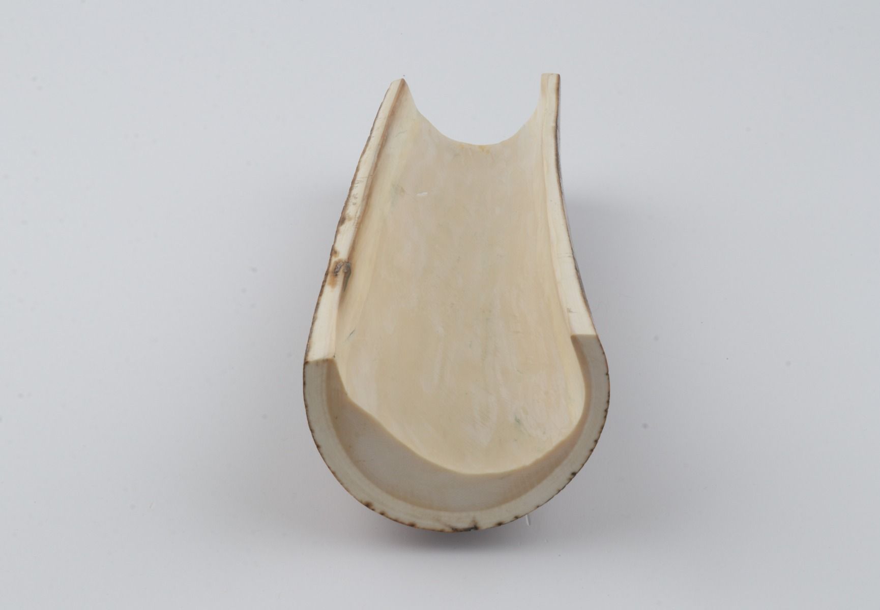 Natural woolly mammoth bark