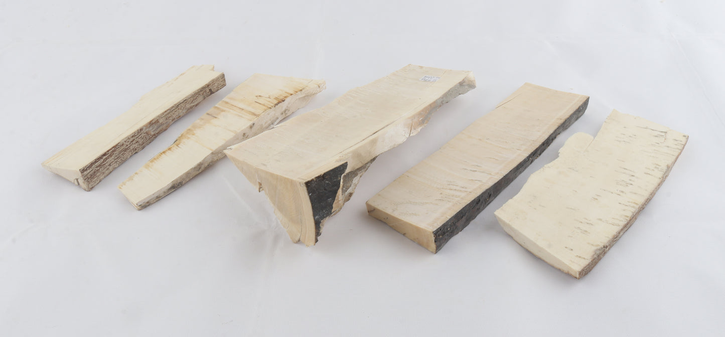 Raw mammoth ivory pieces