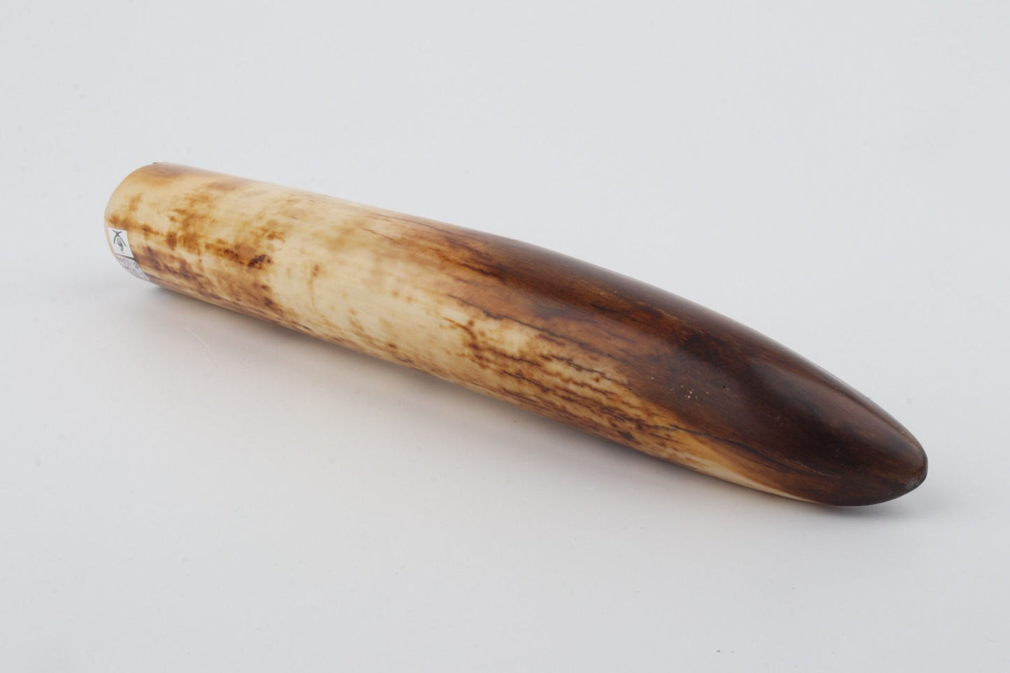 Restored mammoth tusk tip