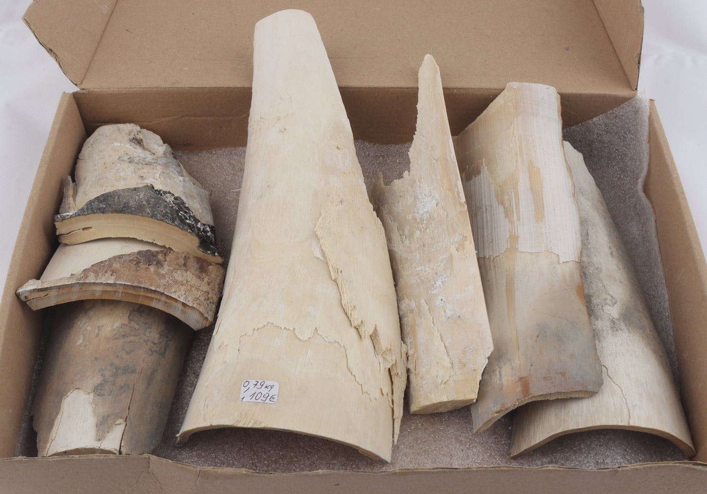 Untreated mammoth ivory pieces
