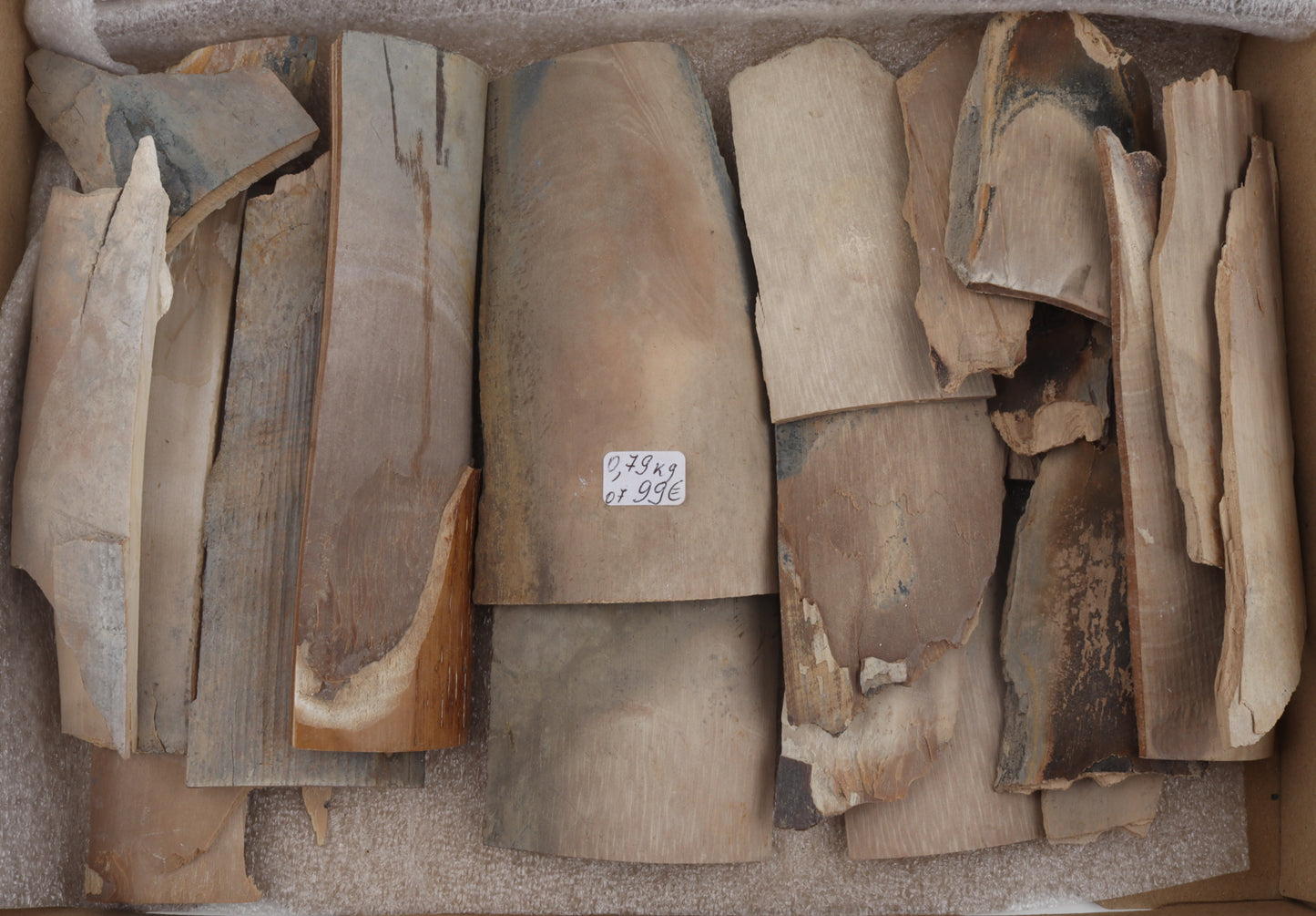 Raw mammoth ivory pieces
