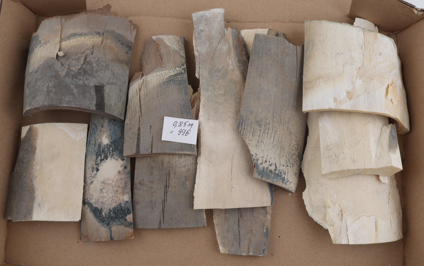 Raw mammoth ivory pieces