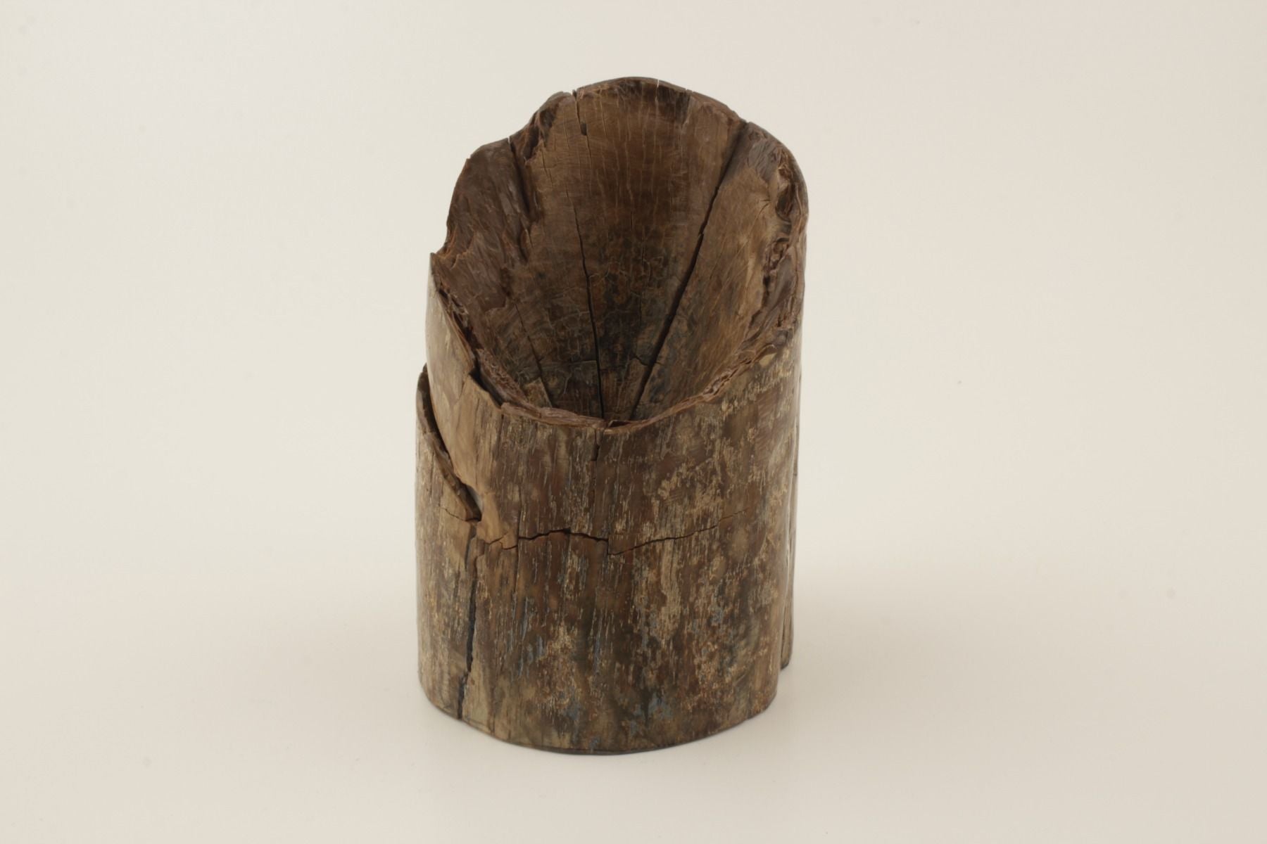 Mammoth tusk base section