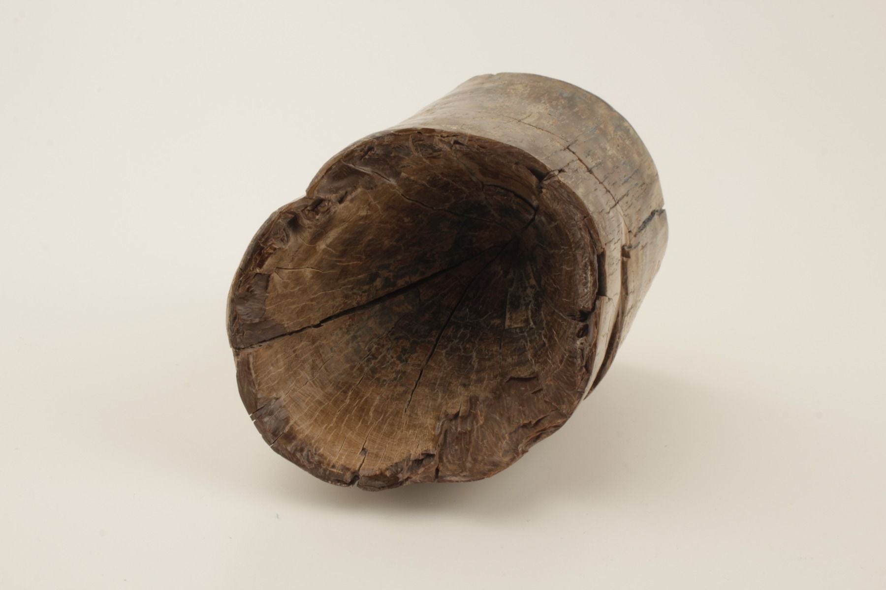 Mammoth tusk base section